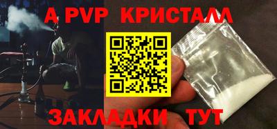 дмт Тара
