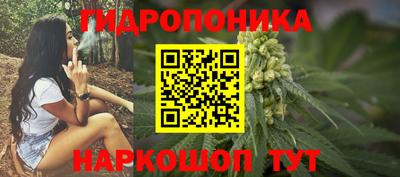 дмт Тара