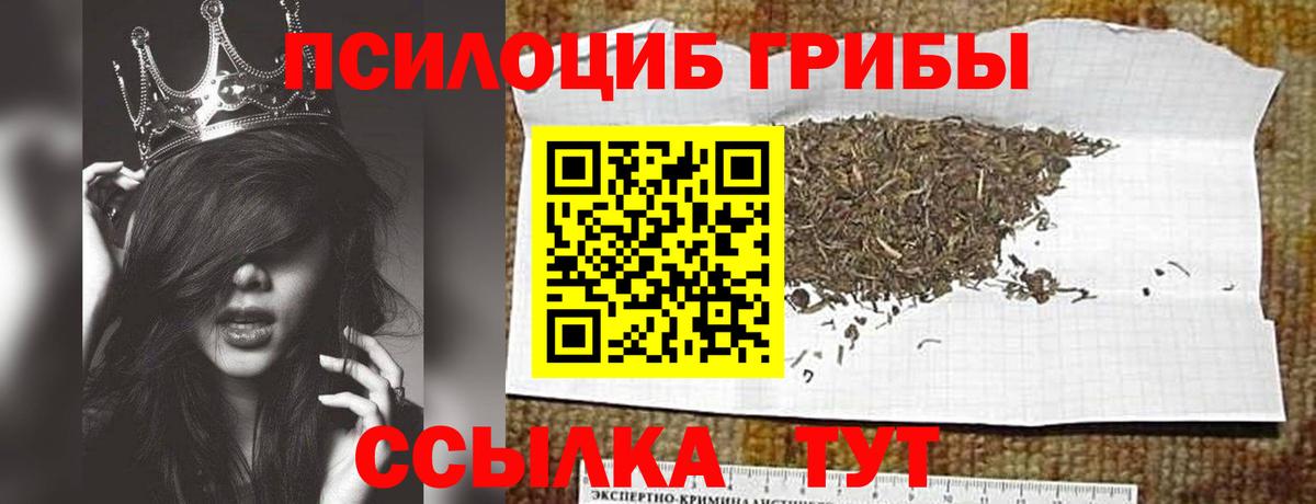 Псилоцибиновые грибы Psilocybine cubensis  Галлюциногенные грибы ЛСД  Бийск  Вход с VPN 